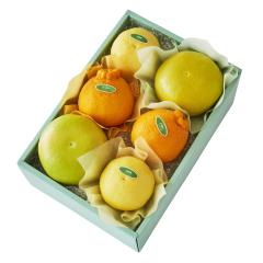 ���� �V�h���� �����S�[���h���{��H #29100 | �ʕ� �������� �t���[�c ���j�� ���j�� ���� ���Ԃ� �������j�� �o�Y���j�� �V�z���j�� ��