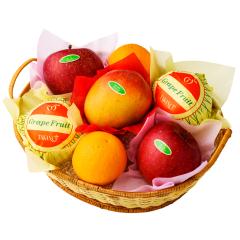 ���� �V�h���� �t���[�c�o���G�e�B�[EB2 #29100