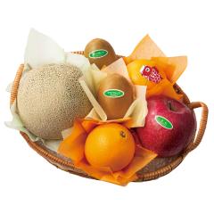 ���� �V�h���� �q���̓��t���[�c�M�t�gEA #29100