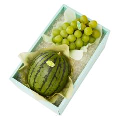���� �V�h���� �s�m�K�[�����{��A #29100