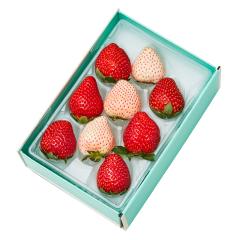 ���� �V�h���� ����C�x���[�������̍���9 #29100