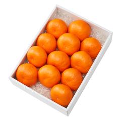 ���� �V�h���� �O���n�^���N���u�݂���12�� #29100