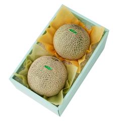 ���� �V�h���� �C�o���L���O���������{��L  #29100 |�ʕ� �������� ������ �t���[�c ���j�� ���j�� ���� ���Ԃ� �������j�� �V�z���j