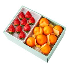 ���� �V�h���� �Ƃ��������9���{��C #29100 | �ʕ� �������� �t���[�c ���j�� ���j�� ���� ���Ԃ� �������j�� �o�Y���j�� �V�z���j�� ��