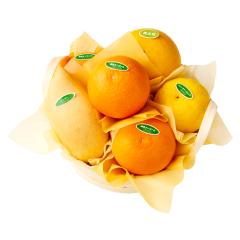 ���� �V�h���� �t���k�o���G�e�B�[A #29100