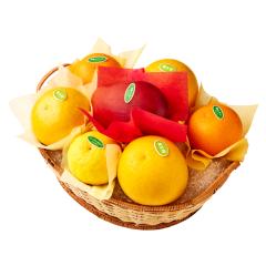 ���� �V�h���� �t���k�o���G�e�B�[B #29100