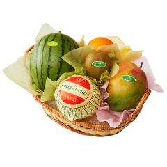 ���� �V�h���� ���ʐ��Z�o���G�e�B�[A #29100
