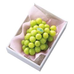 ���� �V�h���� ���R�����V���C���}�X�J�b�g #13093