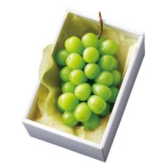 ���� �V�h���� ���S�@�V���C���}�X�J�b�g #13239