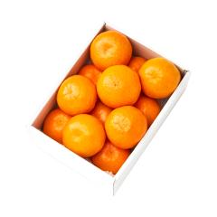 ���� �V�h���� �S���݂���12�� #29100 |�ʕ� �������� ������ �t���[�c ���j�� ���j�� ���� ���Ԃ� �������j�� �V�z���j�� ���� �o�Y