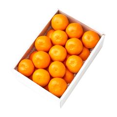 ���� �V�h���� �S���݂���24�� #29100 |�ʕ� �������� ������ �t���[�c ���j�� ���j�� ���� ���Ԃ� �������j�� �V�z���j�� ���� �o�Y