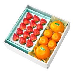 ���� �V�h���� �����������k�g���v��C #29100