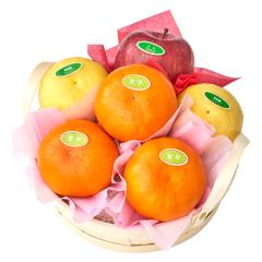 ���� �V�h���� �Õ��o���G�e�B�[A #29100