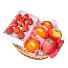 ���� �V�h���� �Õ��o���G�e�B�[C #29100