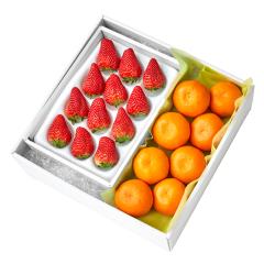 ���� �V�h���� ������12���{��D #29100