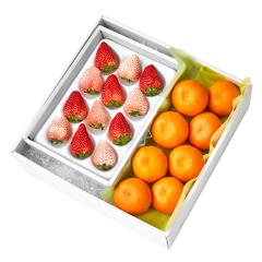 ���� �V�h���� �g��������12���{��D #29100