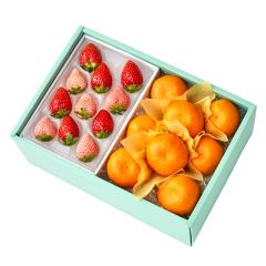 ���� �V�h���� �ޗ�䕐H�ה��M���{��C #29100