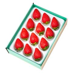 ���� �V�h���� �Ós�P12EA #29100