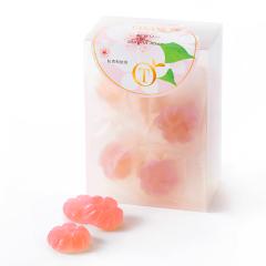 ���� �V�h���� ���[���[