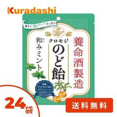 カネカ 濃いナッツBペッパーアーモンド ドラゴンズ ×48 【全国送料