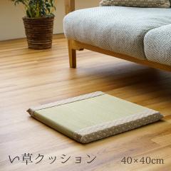 ���D �N�b�V���� ���� ������� �a�� �m�� �E���^�� �������� �R�ۖh�L �l�p 40�~40cm �x�[�W�� �u���E�� �O���[�� �l�C�r�[ ���[�Y �C�G