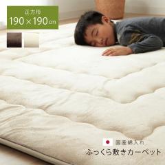 �t�B�[��F�~ �����~�z�c �����~�� �J�[�y�b�g ���O �ӂ����� �{�����[�����O �h���� �ۉ��� ���Y ���{�� �V���v�� ���n  190�~190cm 