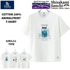 Xu Rbg100 Aj} vgT BLUE STANDARD u[X^_[h