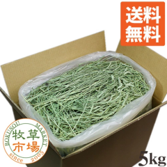 �y���������z���ߘa7�N�x�Y�V���聟 �q���s�� �X�[�p�[�v���~�A���`���V�[ 1�Ԋ��� �q�� 5kg �Ɩ��p �V���O���v���X �}�y�b�g ������ ��