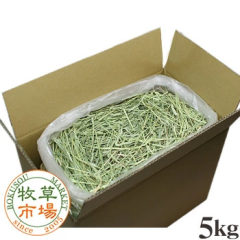 �q���s�� US�`���V�[ 1�Ԋ��� �q�� �_�u���v���X 5kg �i�v���~�A���j �}�y�b�g ������ �������b�g �`���V�[ �E�T�M ������ �`���`�� �f�O