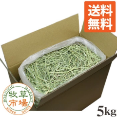 �y���������z �q���s�� US�`���V�[ 1�Ԋ��� �q�� �_�u���v���X 5kg �i�v���~�A���j �}�y�b�g ������ �������b�g �`���V�[ �E�T�M ������ 