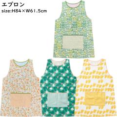 �G�v���� ���B�� H84�~W61.5cm �w�l ���f�B�[�X �ۈ�m ������� ���킢��  ���d�� �䏊 �v���[���g �M�t�g ��̓� �h�V�̓�