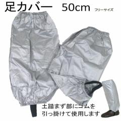 Jo[@kdf bnudq  iCA~iotR[eCOj@@TO AEghA oR