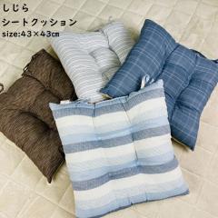  V[gNbV ȂPOO 43~43cm u₩ _CjO`FANbV J[NbV ItBXNbV