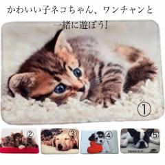 oX}bg@NbV}bg@SOUO@킢  }bg mXbvH Iׂ5