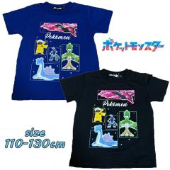 �y���[���֑��������z�|�P�b�g�����X�^�[ �|�P���� �W���� ����T�V���c �L�b�Y �v�����g �L�����N�^�[ �L����T �j�̎q �j�� �{�[�C�Y ��