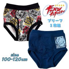 ���[���֑������� ���F���Y���M���o���C���t�B�j�e�B�u���[�t 2���g �����ӂ�C���i�[ �O�� ���O���t�� 2832543