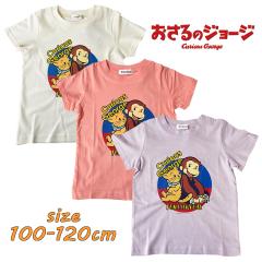 ���[���֑������� ������̃W���[�W �����V���c �J�b�g�\�[ �V�� �g�b�v�X �L�b�Y�� �q�ǂ��� �g�h���[ TN8861