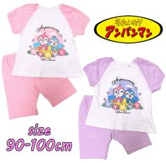 ���[���֑������� �A���p���}�� �h�L�������/�R�L������� �p�W���} ���� �x�r�[�� ���� ���b�V�� ��100�� (TA2615)