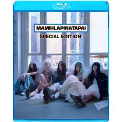 DVD/趣味教養/ラバーガール ソロライブ「キャット」 / ANSB-5895の通販