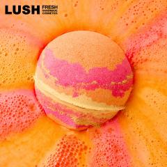 LUSH bV  AP~Xg nEB  oX{ A  v`Mtg gt  v`v