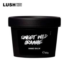 LUSH XC[gChVgX 100g nho[ nhN[ v[g Ƃ  ێ k  nhCh B