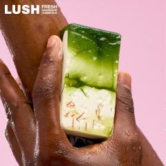 LUSH m[X|[ \[v NX}X  2025 yp[~g [vVbv Ō`Ό lC 킢 B[K RX bV 