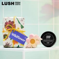 ��̓� �v���[���g LUSH ���C���h�t�����[ �M�t�g  2026 ���� �\�[�v �{�f�B���[�V����  �{�f�B�P�A �n���h���C�h �R�X�� �Z�b�g ���b�V