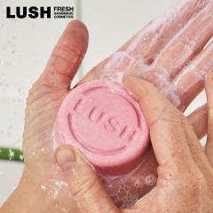 LUSH �X�m�[�t�F�A���[ �V�����v�[�o�[ �Ō`�V�����v�[ �w�A�P�A �N���X�}�X ���ʌ��� �M�t�g �v���[���g �m���V���R�� �ێ� ���b�V�� ��