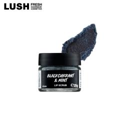 LUSH �N�[���u���b�N ���b�v�X�N���u ���b�v�P�A �V���K�[�X�N���u �y�p�[�~���g �x���[ �p������ �ێ� ���� �R�X�� �v�`�M�t�g �v���[