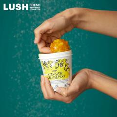LUSH GIN Vv[ LUSHo[W bVo[W NWOVv[ XJvPA  WW[ nhCh B[K 