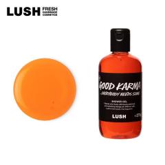 LUSH ObhJ} GuofBj[YT 540g {fB\[v V[WF B[K v[g IG^  nh