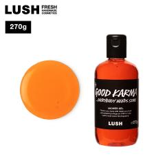 LUSH ObhJ} GuofBj[YT 270g {fB\[v V[WF B[K v[g IG^  nh
