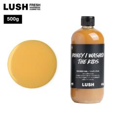 LUSH bV  ݂΂}[` V[WF 500g Ό ݂͂ ێ  v[g nhCh RR RX