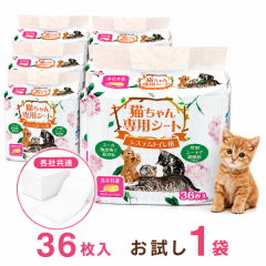 �L������p�V�[�g �V�X�e���g�C���p 36���� 1��